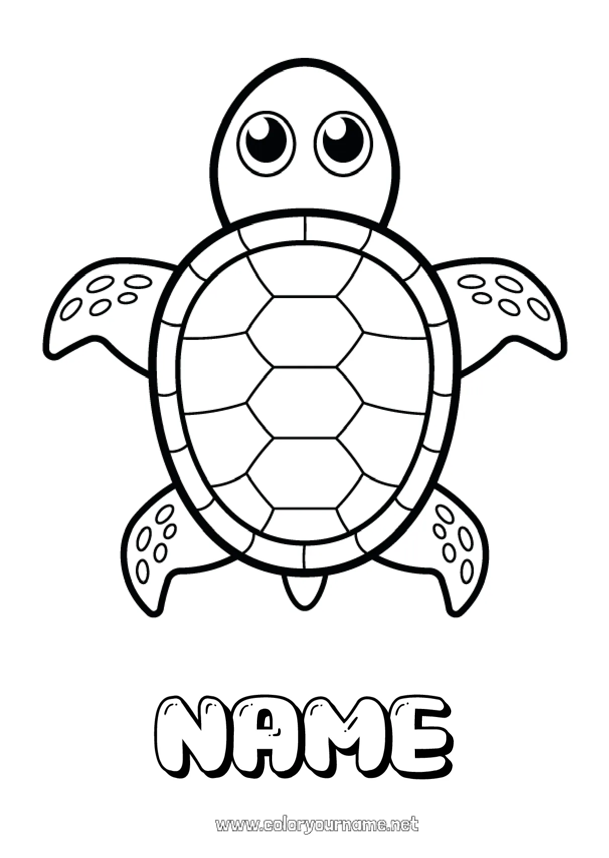 Coloring page no.1636 cute turtle animal
