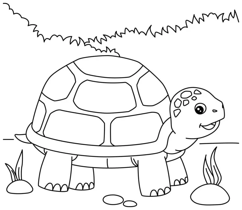 Vector art, icons, and graphics for