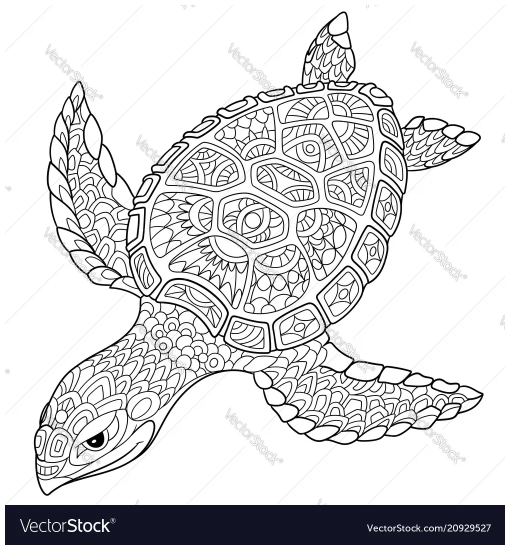Turtle coloring page vector