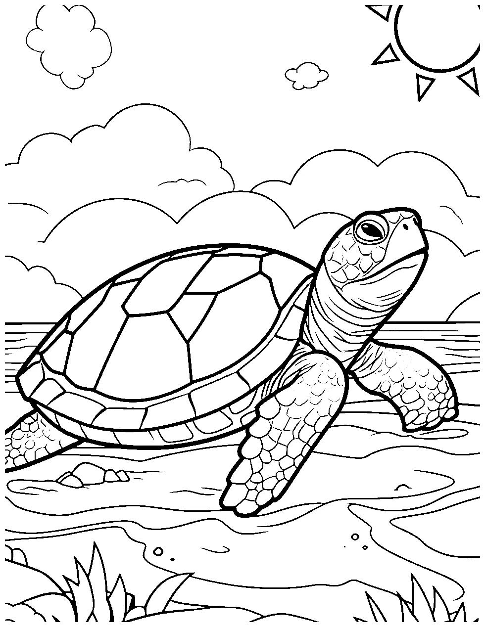 50 turtle coloring pages cute free sheets