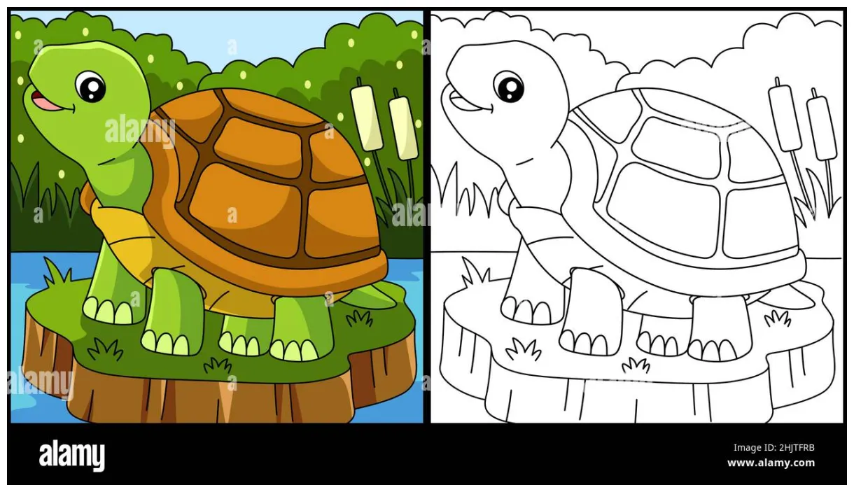 Turtle coloring page vector illustration stock vector & art alamy