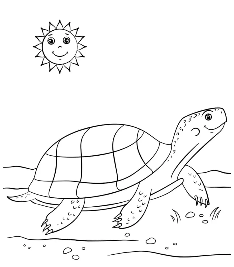 Ornate box turtle coloring play free coloring game online