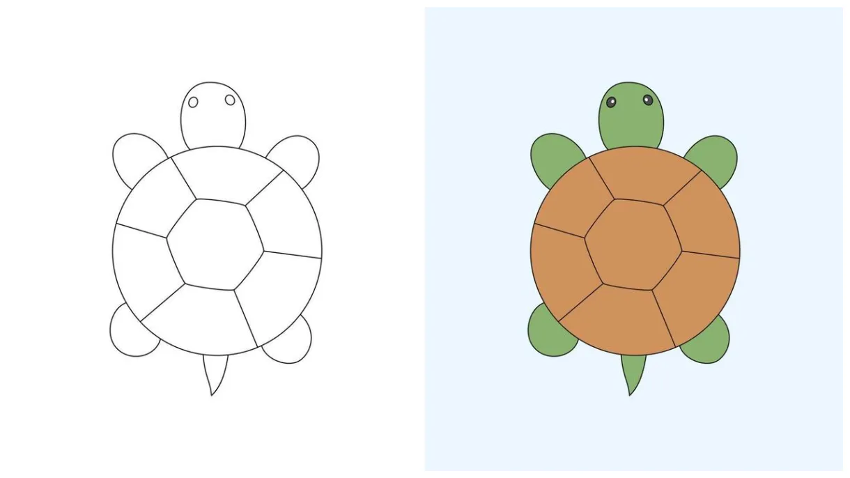 Turtle coloring page vector art, icons, and graphics for