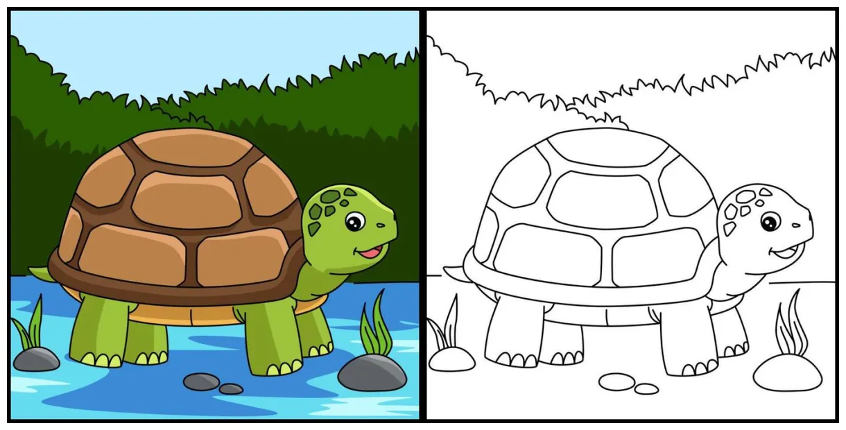 Turtle coloring page vector art, icons, and graphics for