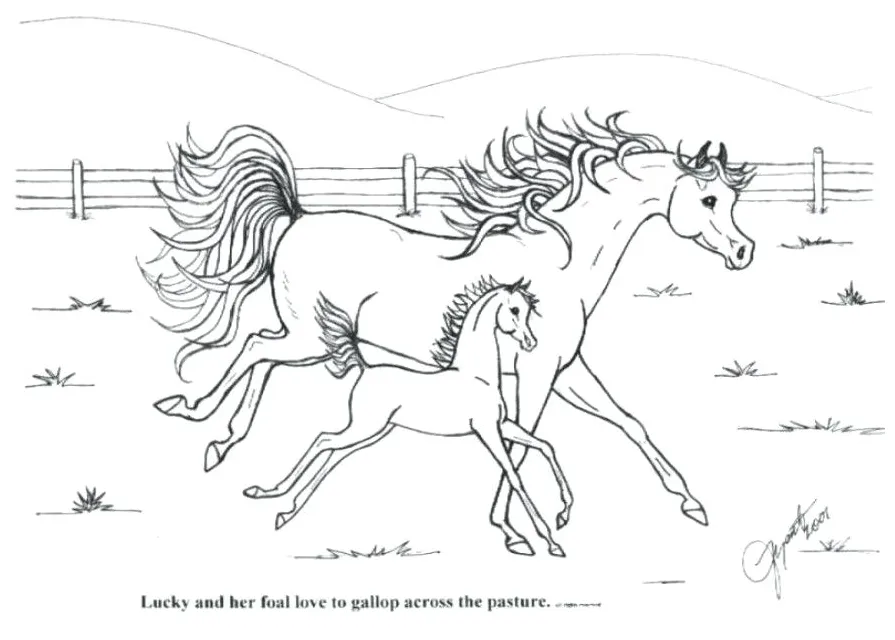 Kids coloring pages real s