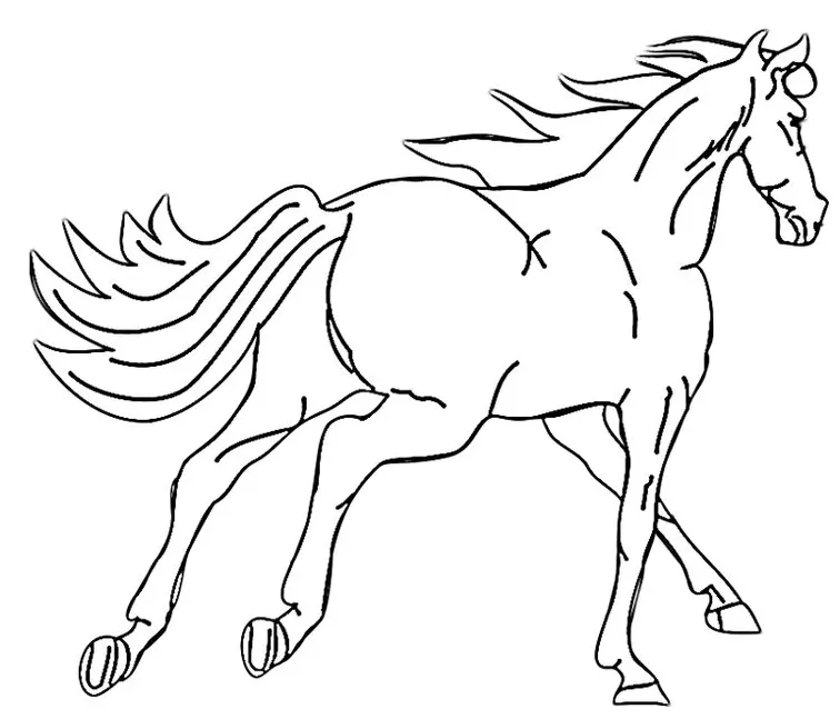 Kids coloring pages real s