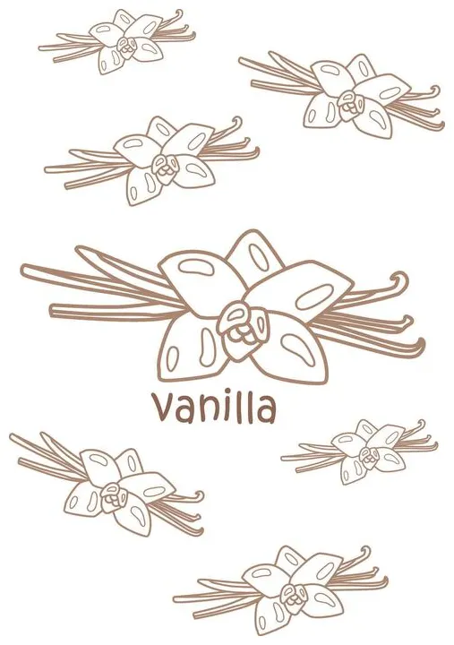 Vanilla Bean Vector Art, Icons, and Graphics for Free Download