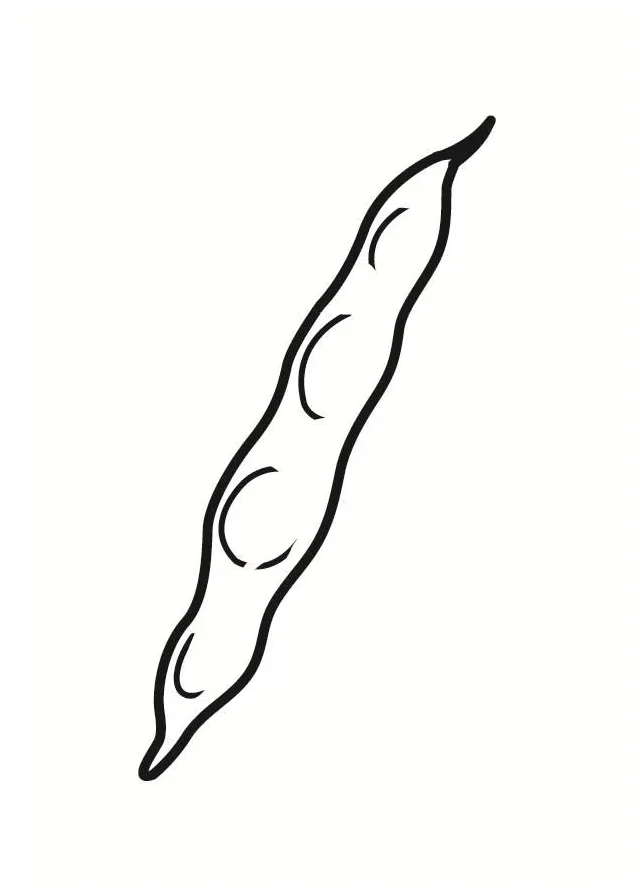 Coloring Page French bean - Free printables - Img 23238