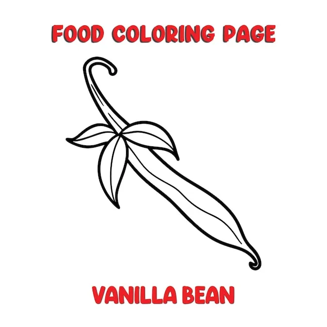Vector of VANILLA_BEAN illustration coloring page for kids | Premium AI
