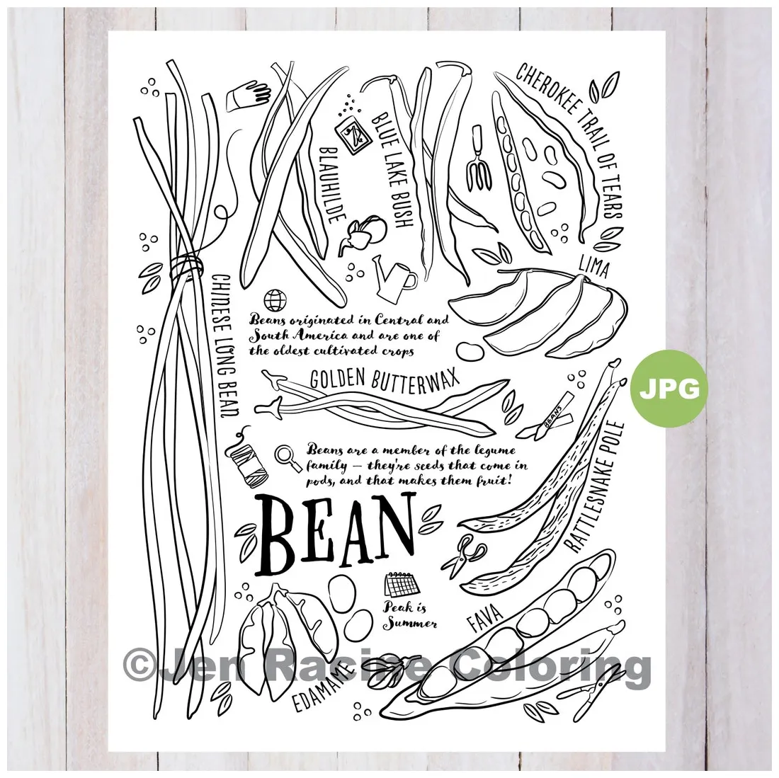 Bean Coloring Page, Vegetable Coloring Page, Garden, Gardening
