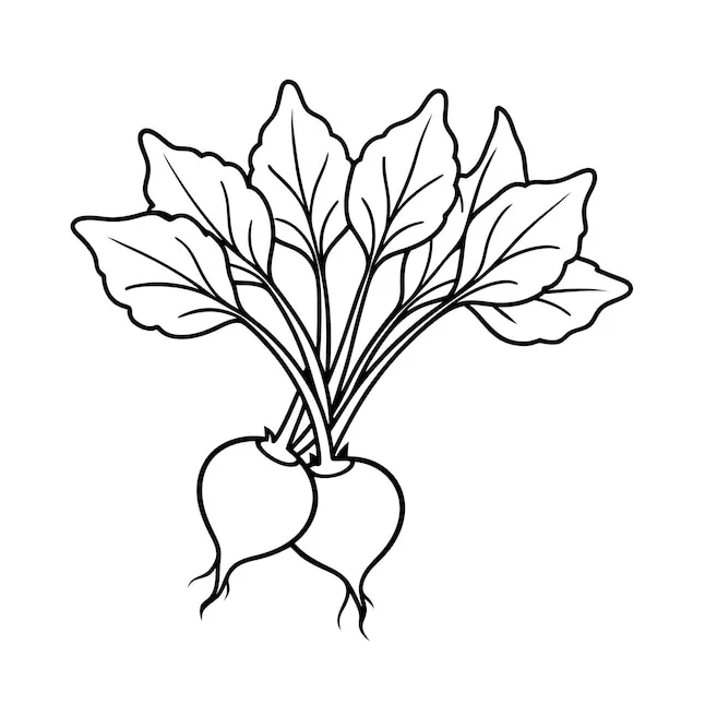 Vegetable coloring page | Premium AI-generated vector