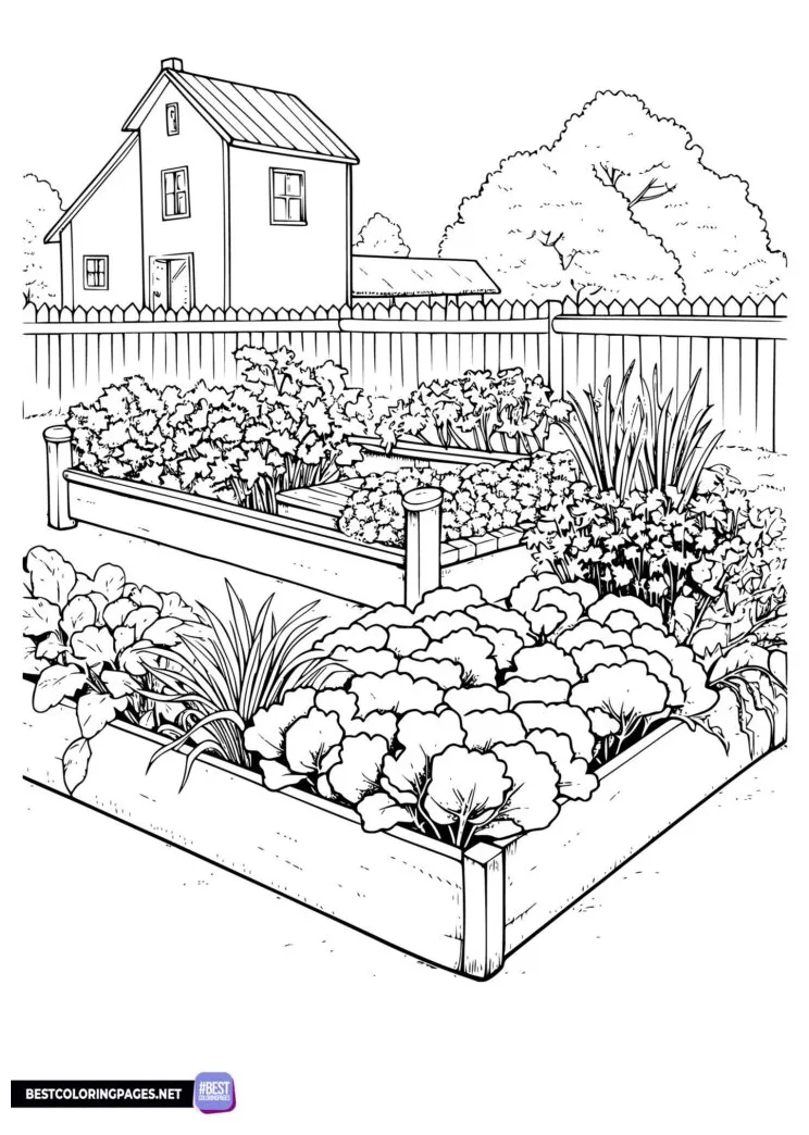 Coloring page vegetable garden free printable coloring pages