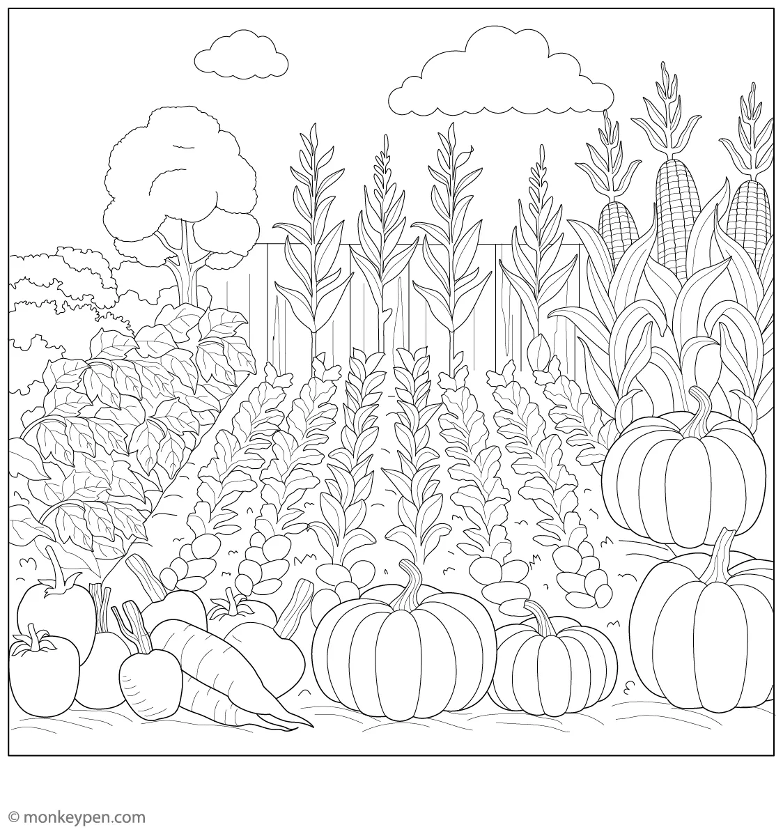 Vegetable garden coloring page