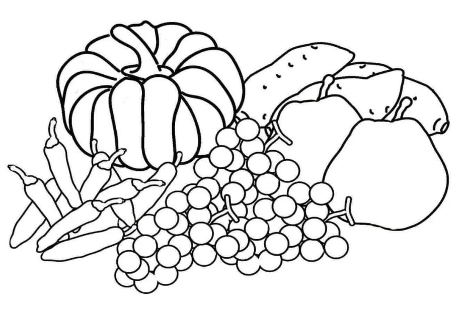 Harvest coloring pages