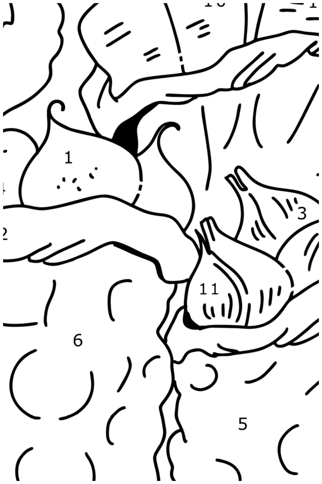 Harvest colouring page ♥ Online and Printable for Free!