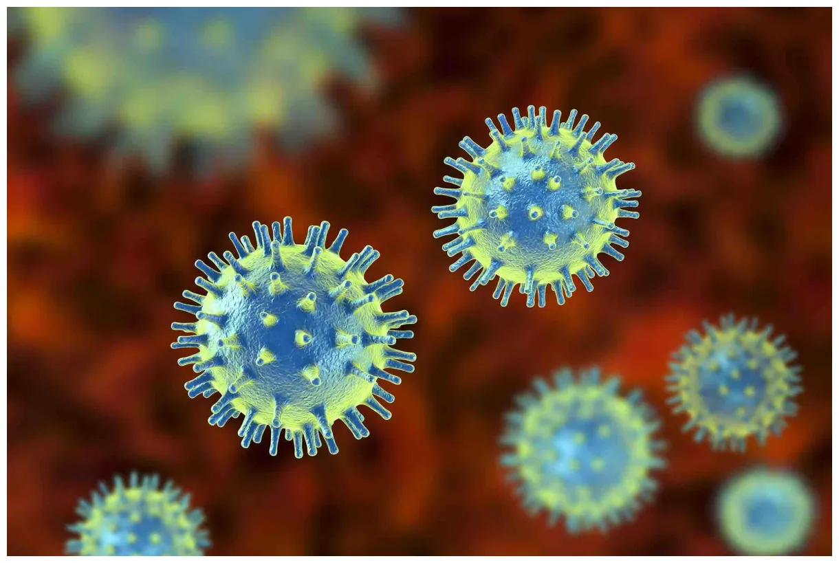 Virus definition & meaning dictionary