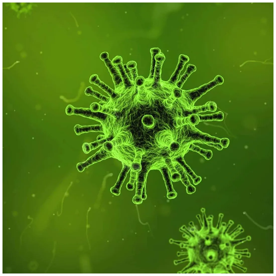 Preventing the spread of covid 19