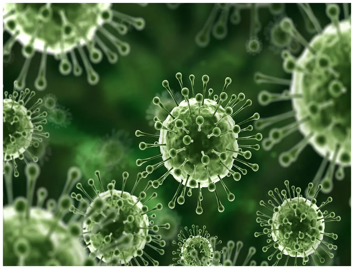 Nipah virus in kerala masks are now mandatory hydnow