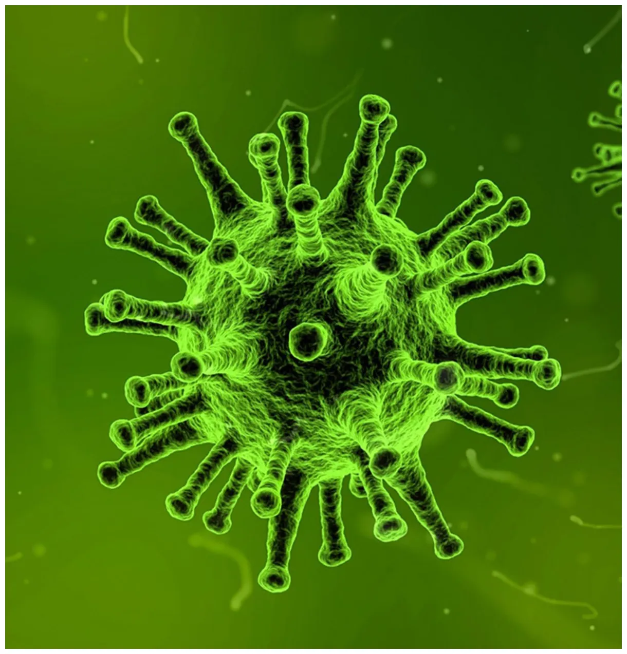 Corona virus tipps wie man dem virus entfliehen kann oberwart