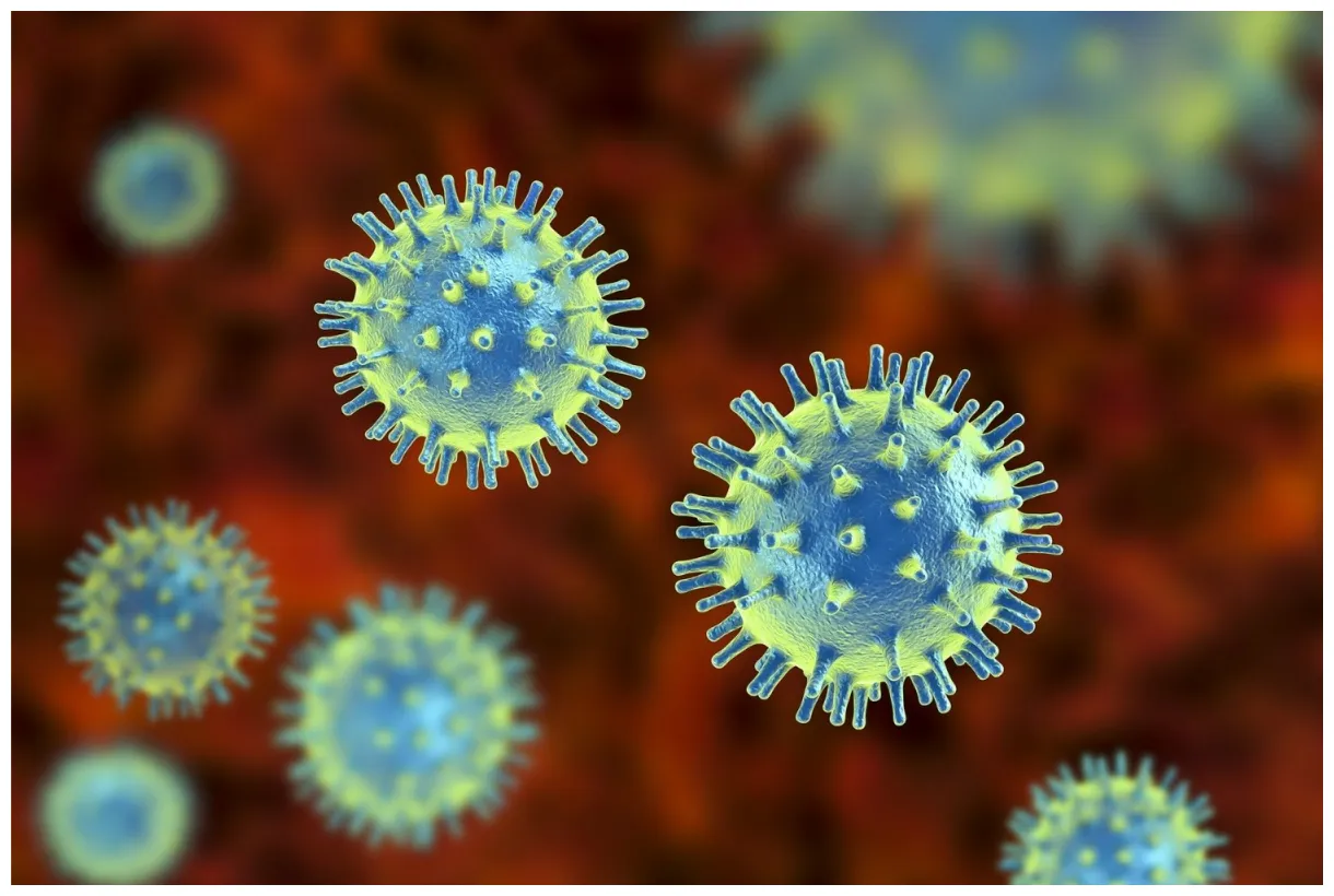 27 facts about viruses facts