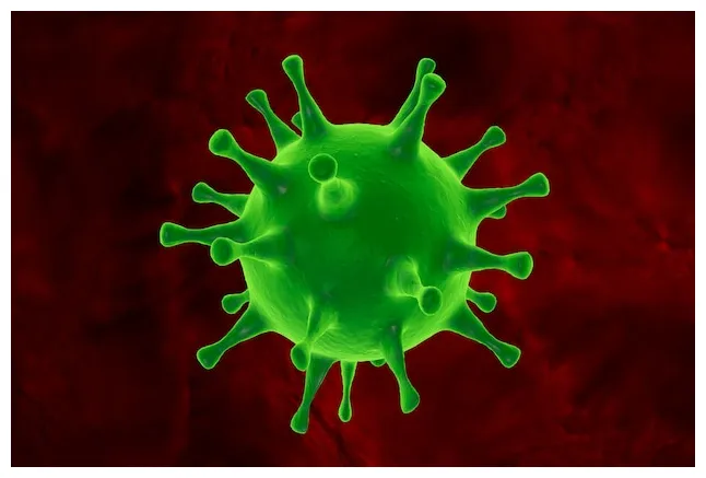 Premium extreme closeup virus on a red