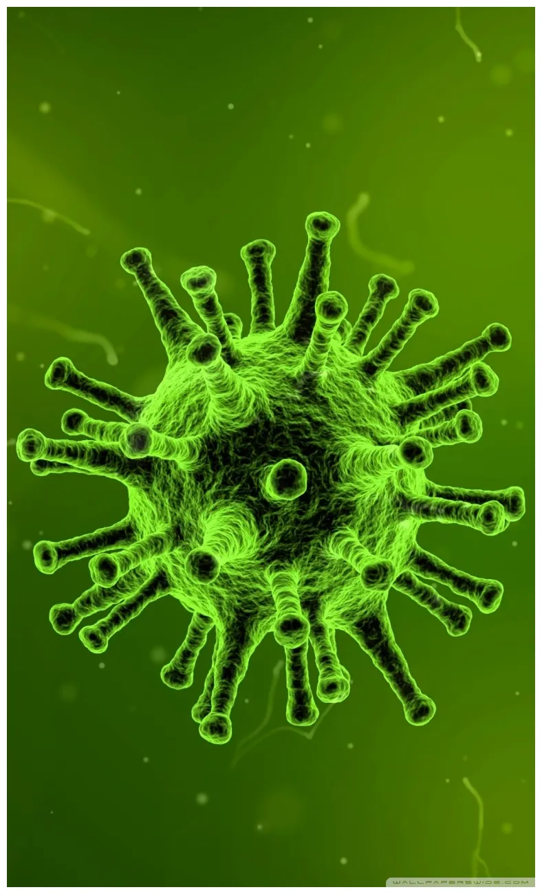 🔥 [40+] s virus safari