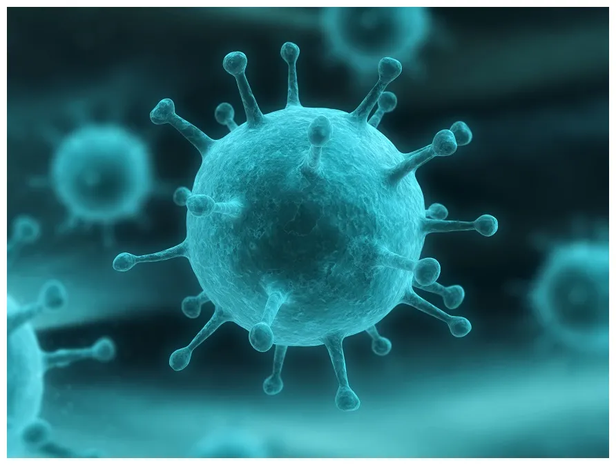 Coronavirus enfermedades infecciosas emergentes y reemergentes