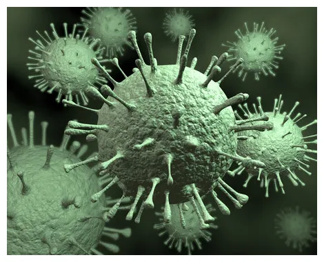 รูปภาพnorovirus เลือกดูภาพถ่ายสต็อก เวกเตอร์ และวิดีโอ3,922 adobe stock