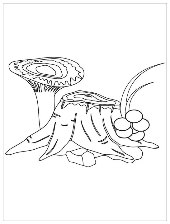 Volcano coloring page vector art, icons, and graphics for