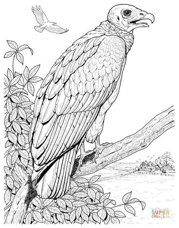 Perched turkey free printable coloring pages