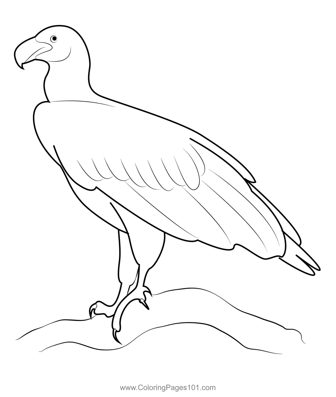 Printable free coloring pages to print