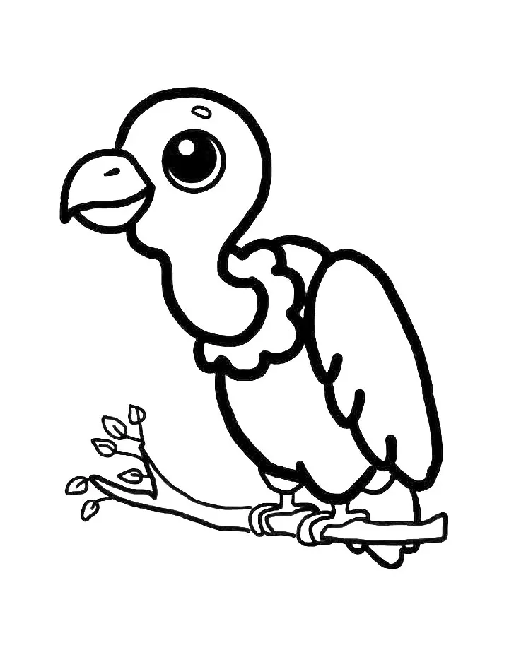 Vulture Coloring Pages (Free Printable PDF)