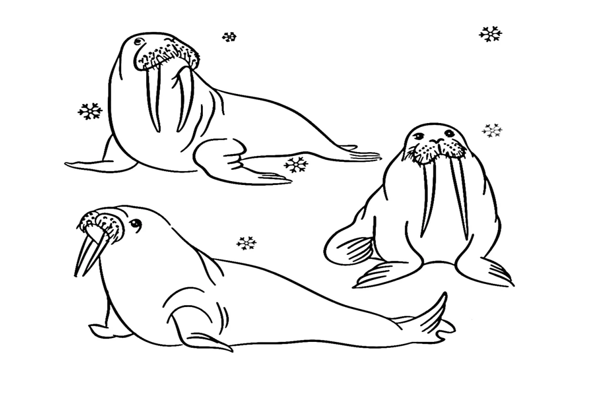 20+ s free printable pdf & online coloring