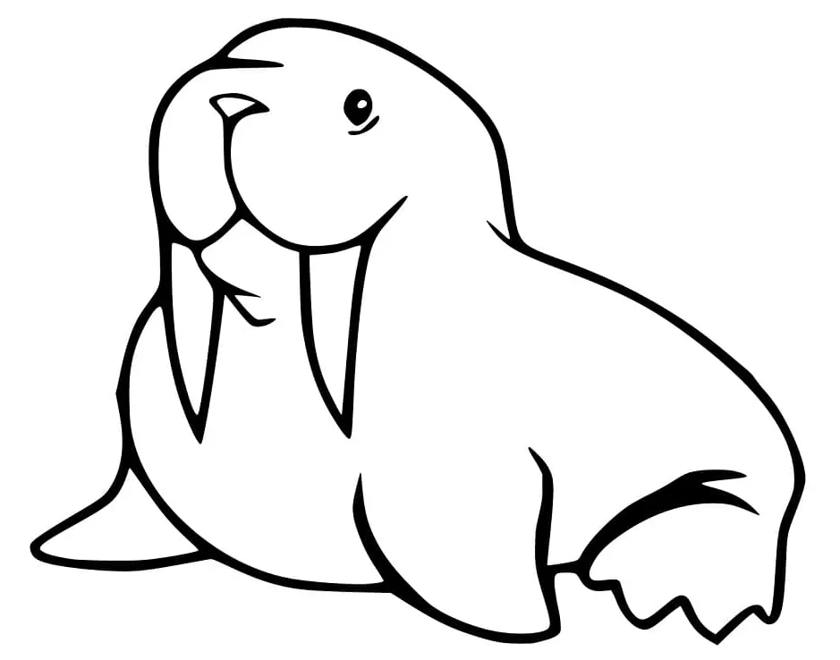 Walrus 4 coloring page free printable coloring pages for kids