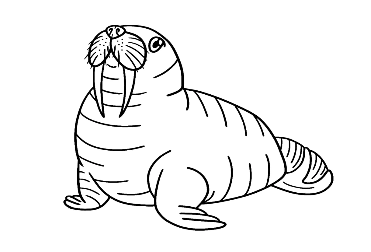 Walrus outline coloring page free printable coloring pages