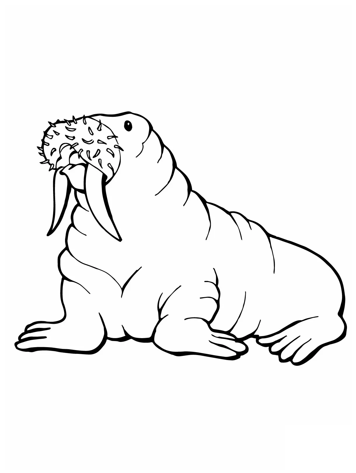 Walrus coloring printable coloring page
