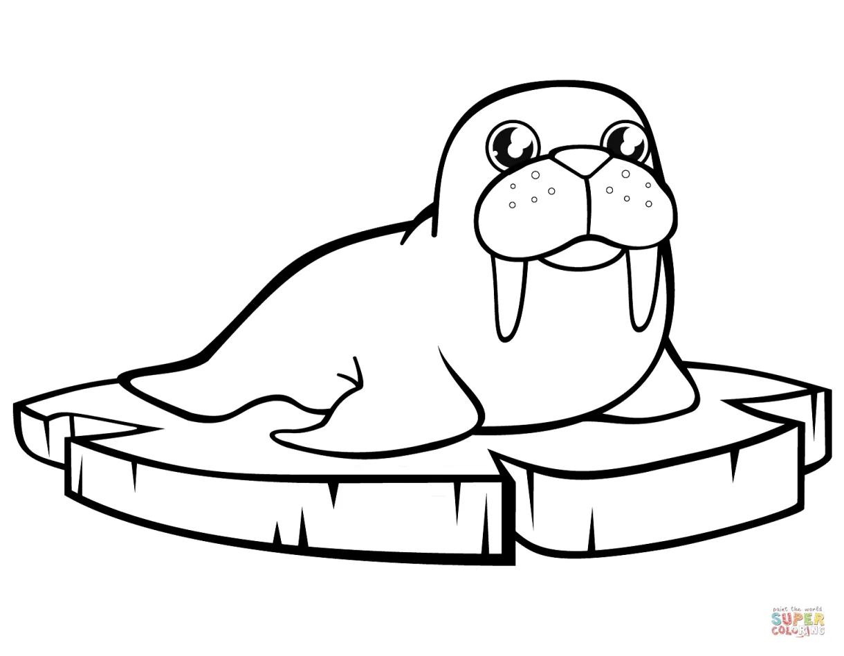 Cartoon walrus on the ice floe coloring page free printable coloring