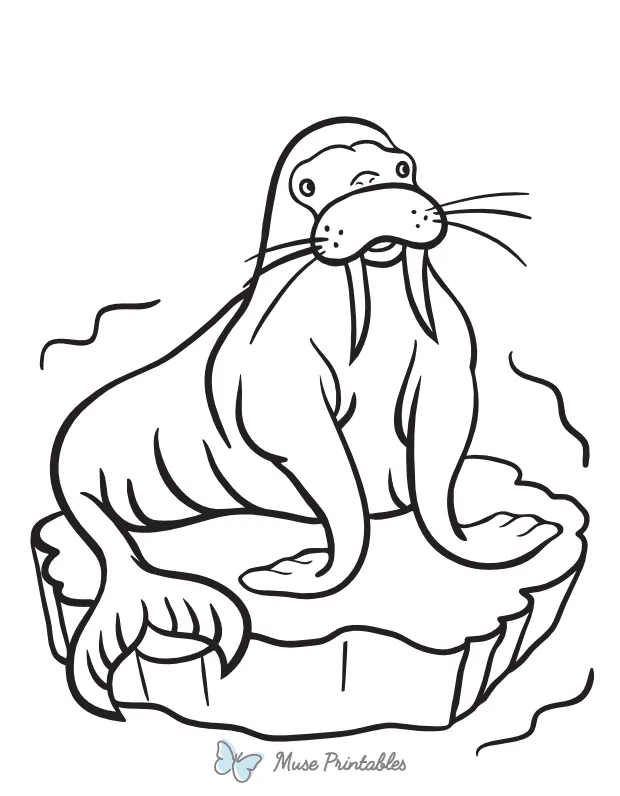 Printable walrus on ice coloring page