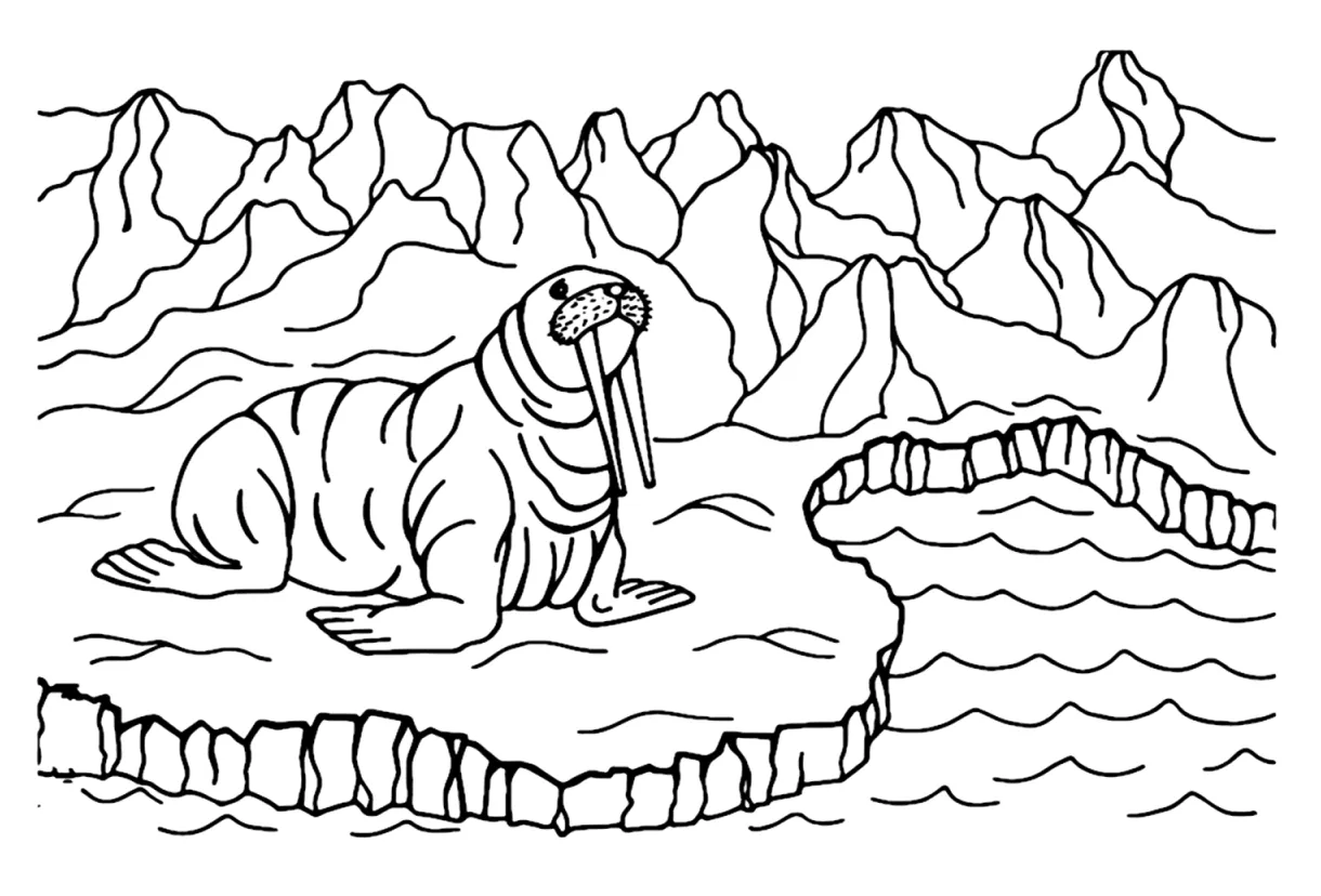 Walrus in ice land coloring page free printable coloring pages
