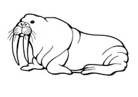 Walrus coloring pages free coloring pages