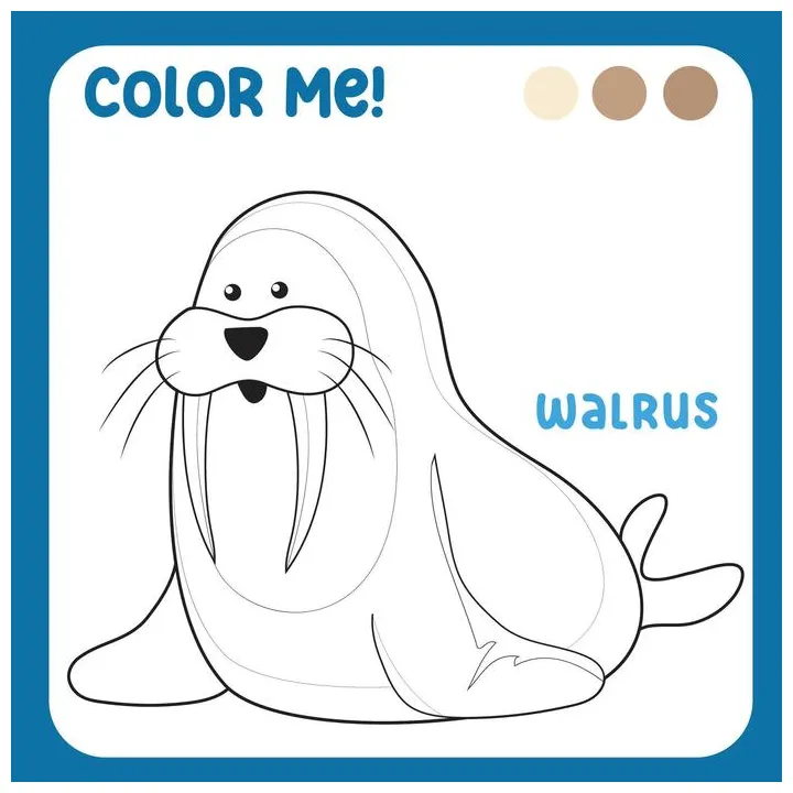 Walrus coloring page vector art, icons, and graphics for