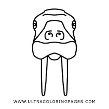 Tusks coloring pages ultra coloring pages