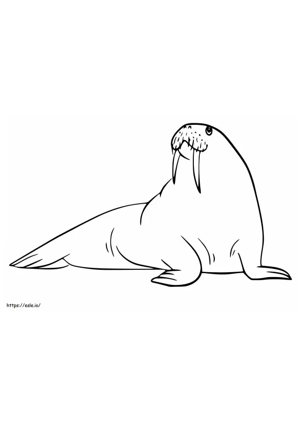 Walrus 4 coloring page
