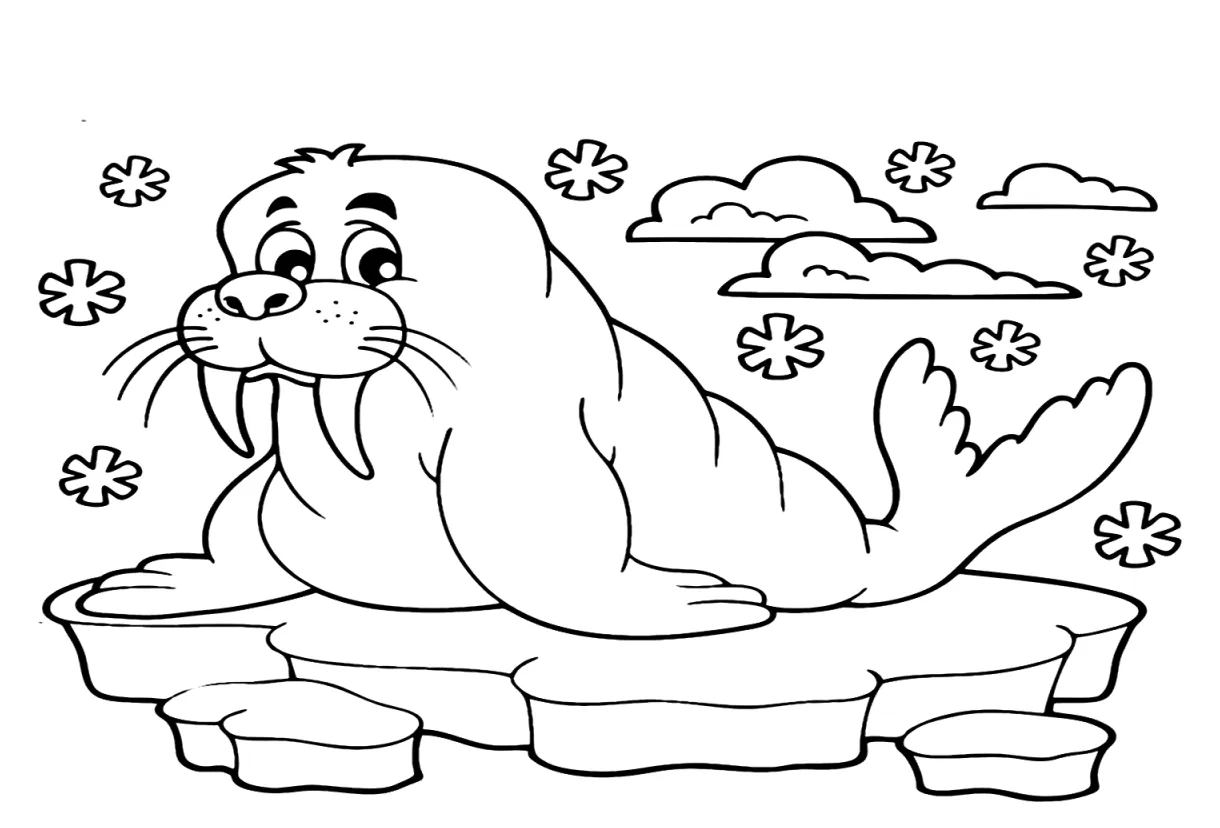 Cute walrus coloring page free printable coloring pages