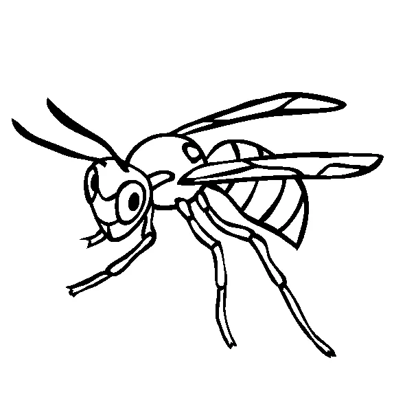 Animals town animals color sheet wasp