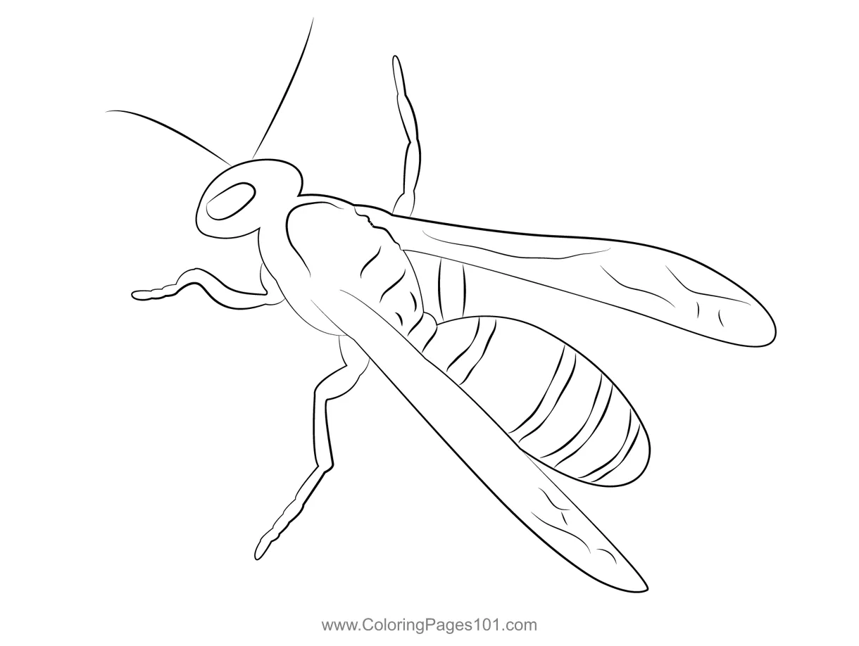 For kids free wasps printable coloring pages