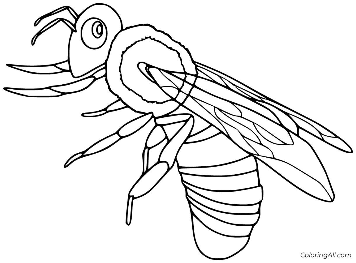 S 27 free printables coloringall