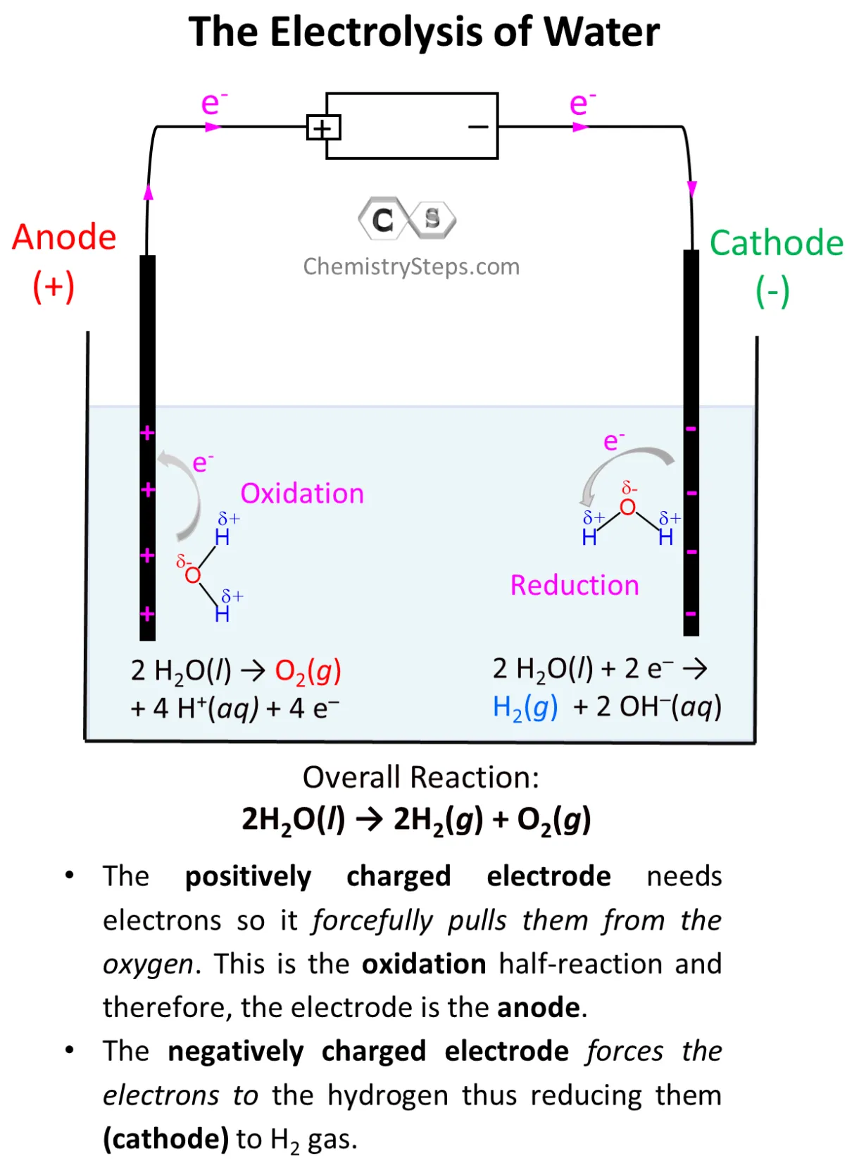 Electrolysis of water chemistry steps