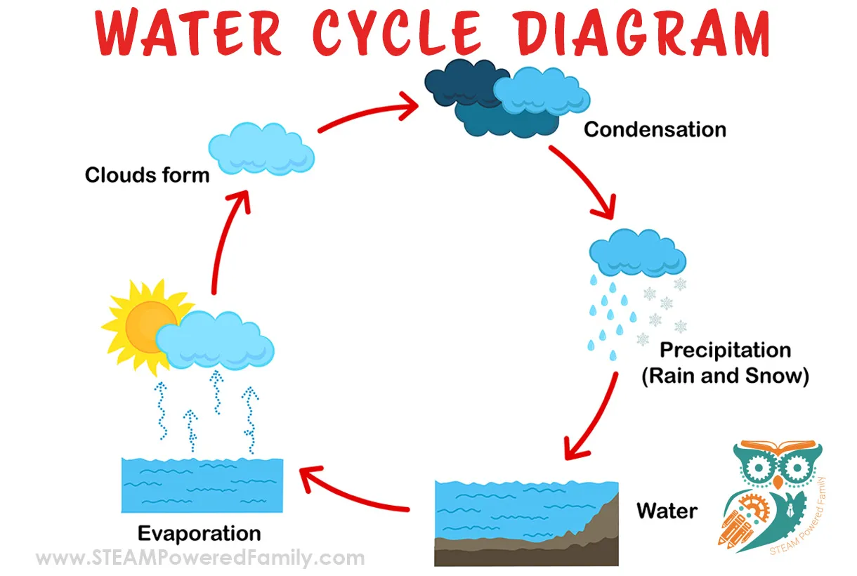 A simple and powerful water cycle lesson