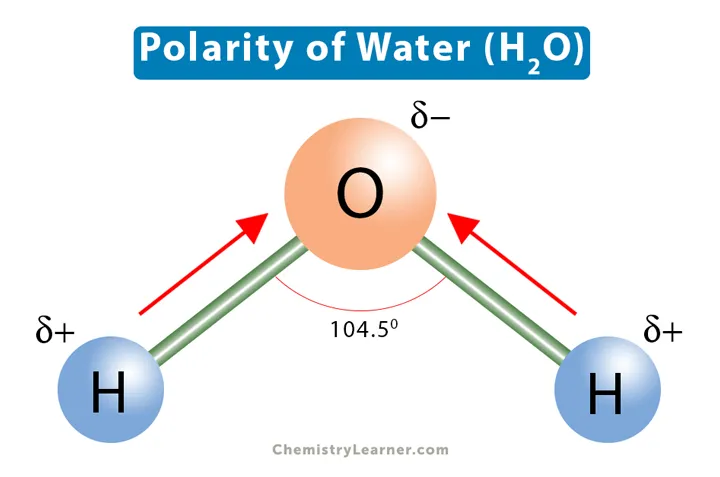 Complete water molecule diagram with partial changes and dip